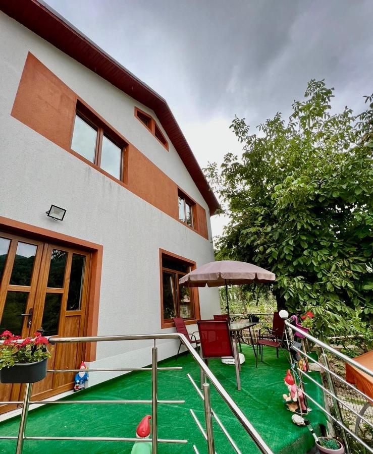 Villa Casa Camelia à Nehoiu Extérieur photo