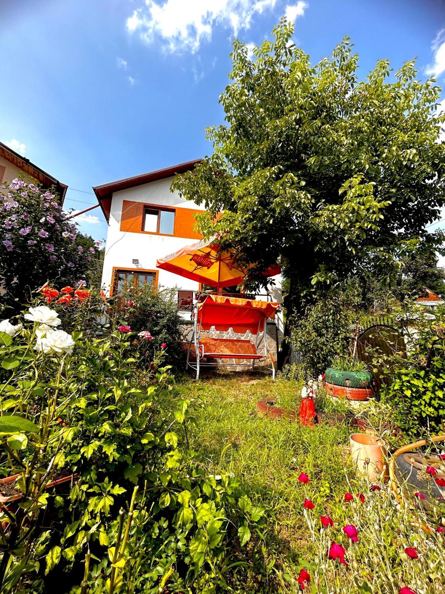 Villa Casa Camelia à Nehoiu Extérieur photo