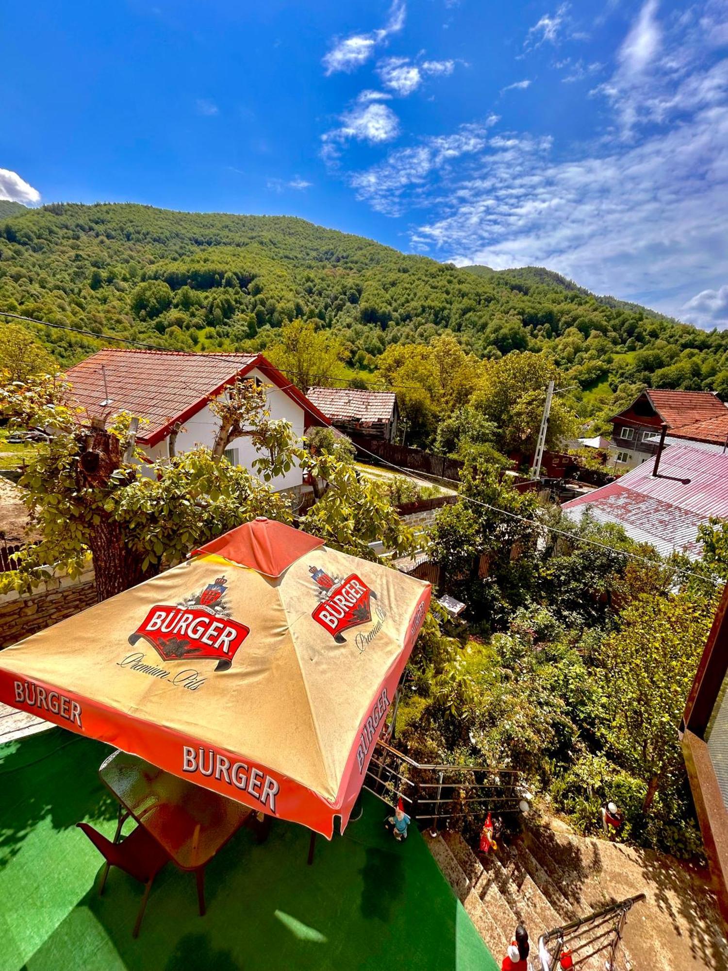 Villa Casa Camelia à Nehoiu Extérieur photo